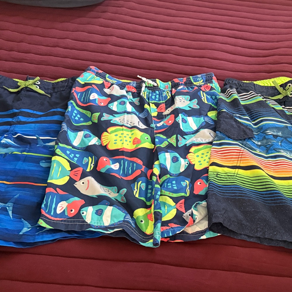 Colorful Fish Print Swim Shorts